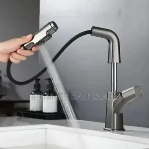 Grey Adjustable/Pull Out Basin Faucet