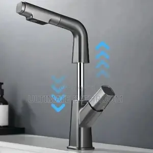 Grey Adjustable/Pull Out Basin Faucet