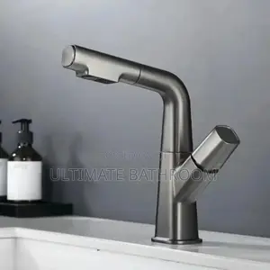 Grey Adjustable/Pull Out Basin Faucet
