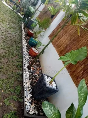 Grassing and Flowering Expert