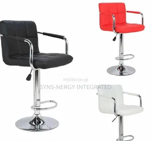 Photo - Fancy Adjustable Salon Chair