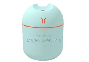 Air Humidifier Cute Aroma Diffuser With Night Light