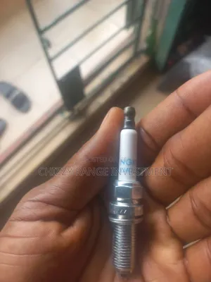 Range Rover Sport 2008 Plug