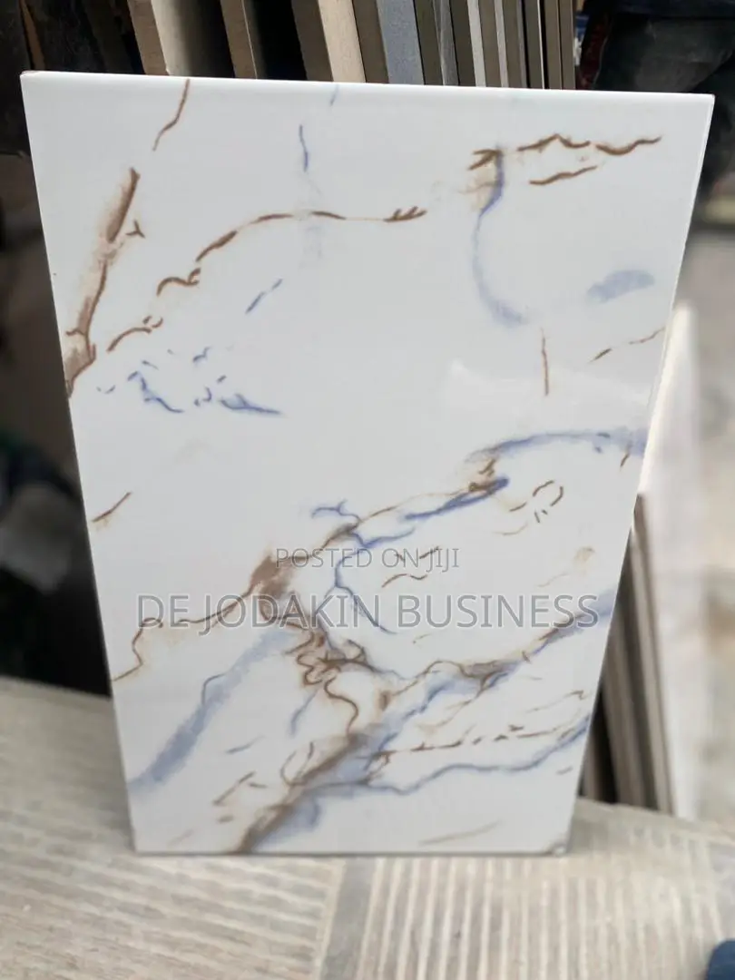 25x40 Glazed Kitchen Wall Tile GC