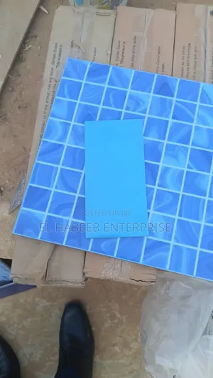 Swimming Pool Imported Tiles