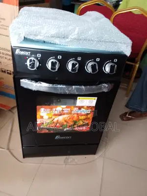 Affordable Boscon Auto 3+1 Auto Ignition Standing Gas Cooker