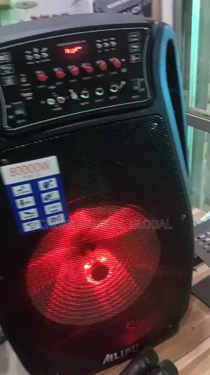 Ailipu 15 Inches Pa System