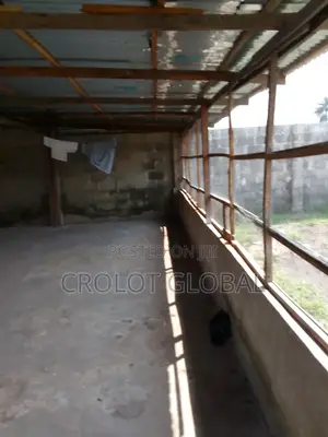 Photo - Poultry for Rent