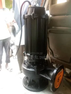 30 HP Sewage Pump 2945 RPM