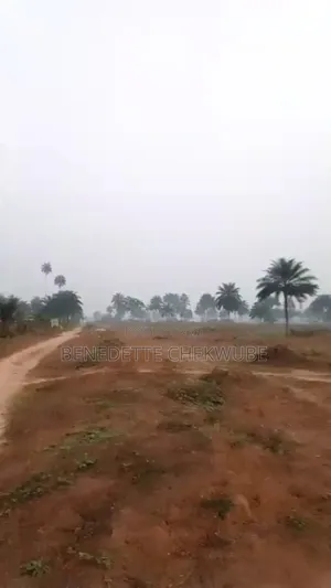 10 Plots of Land for Sale