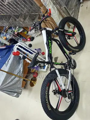 Big Tire Bicycle Sport Wheel Size 29