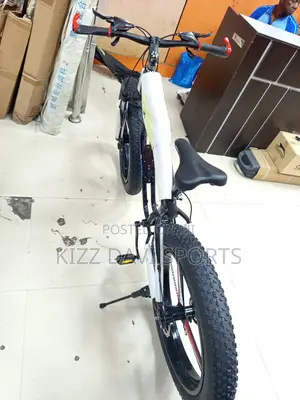 Big Tire Bicycle Sport Wheel Size 29