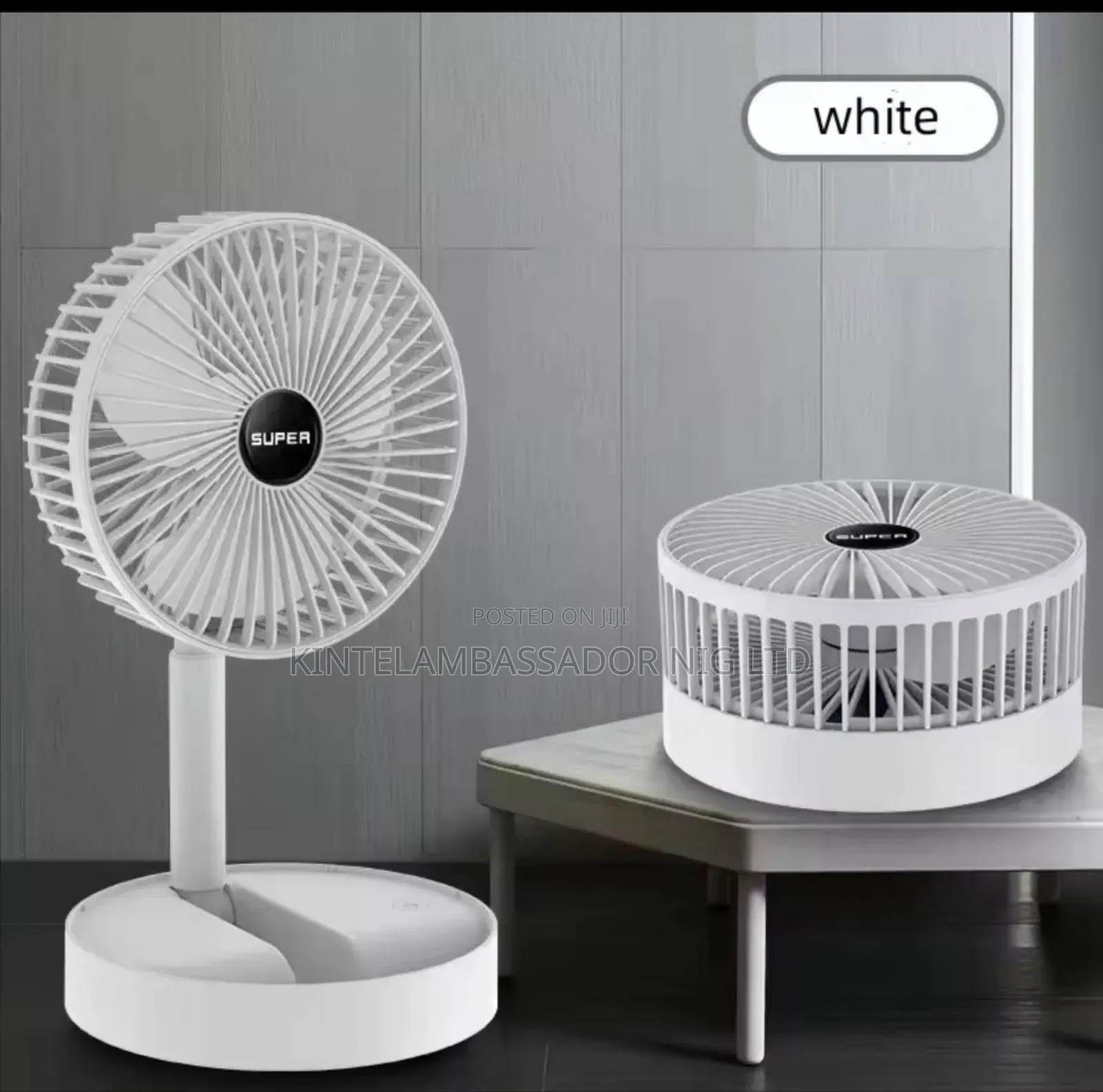 Foldable Portable Standing Fan