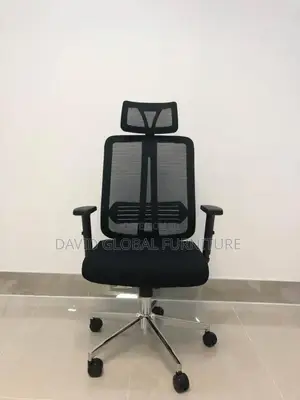 Adjustable Ergonomic Chair