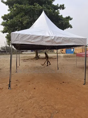 12 by 24 Festival Canopy