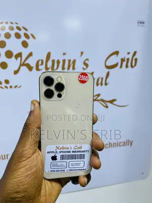 Apple iPhone 12 Pro 256 GB Gold