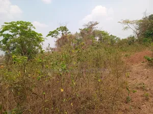 Photo - Nice Housing Land