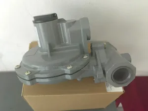 Industrial Gas Regulator 1inches 4bar