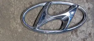 Hyundai Santa Fe Log 2012
