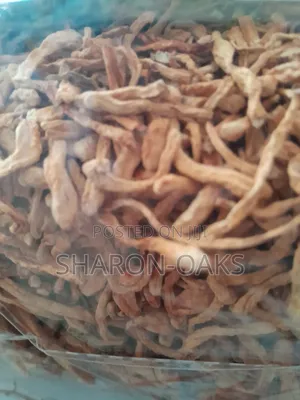 Cordyceps Strands 1kg