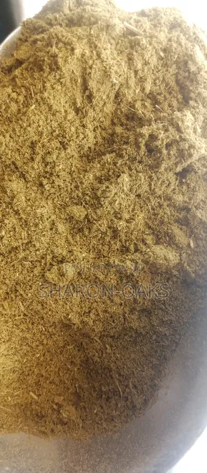 Gingko Biloba Powder 1kg