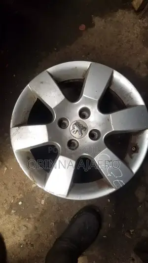 Peugeot Rim 307 as Available Seen