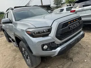 Toyota Tacoma TRD Pro 2019 Gray