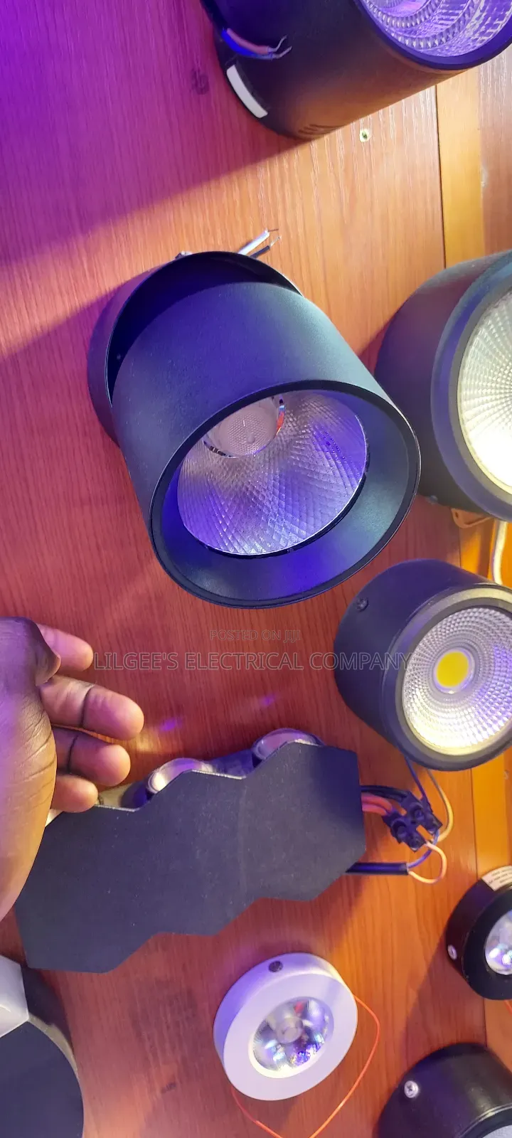 Cantilever Adjustable Down Light