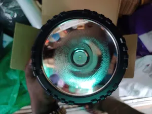 Security Torchlight
