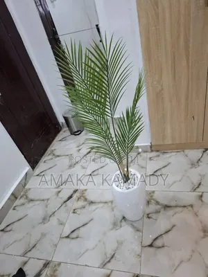 Home Accessories