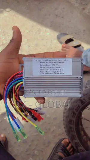 Brushless Motor Controller (Brain Box)