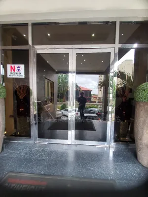 Stainless Swing Door