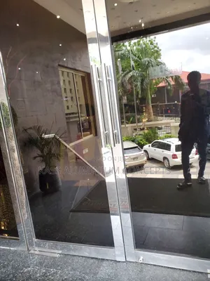Stainless Swing Door