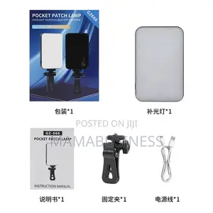 Influencer Hand Led Lamp