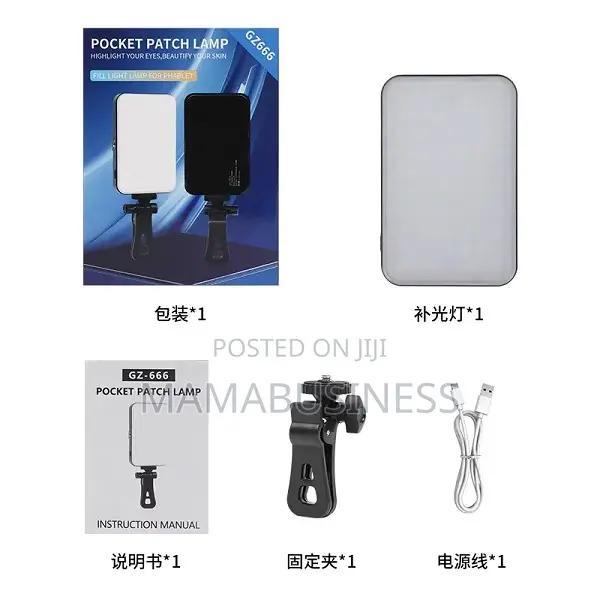 Influencer Hand Led Lamp