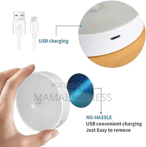 LED Lamp, Body Induction Light
