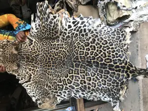 Leopard Skin (Dry)