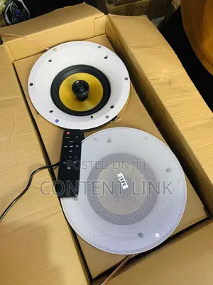 2in1 Wi-fi Bluetooth Ceiling /Pop Speakers