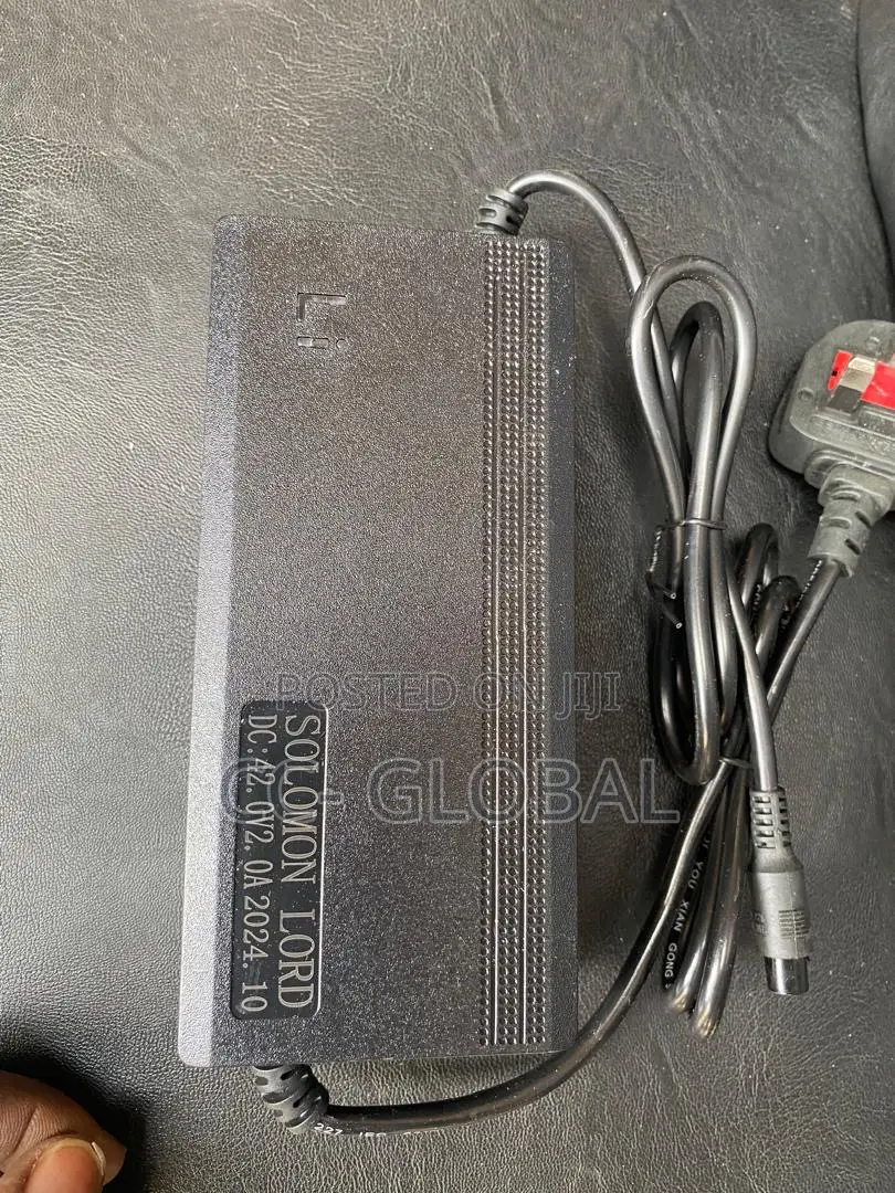 Chargers for Electric Bike Available in Large Quantity, 42v