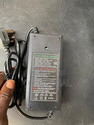 Chargers for Electric Bike Available in Large Quantity, 42v