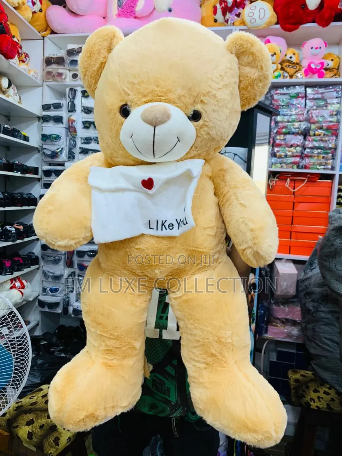80cm Teddy Bear/Pet