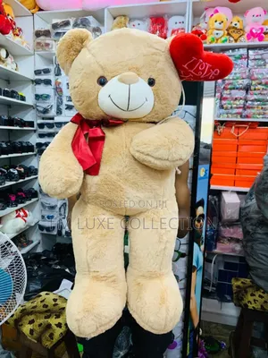 80cm Teddy Bear/Pet