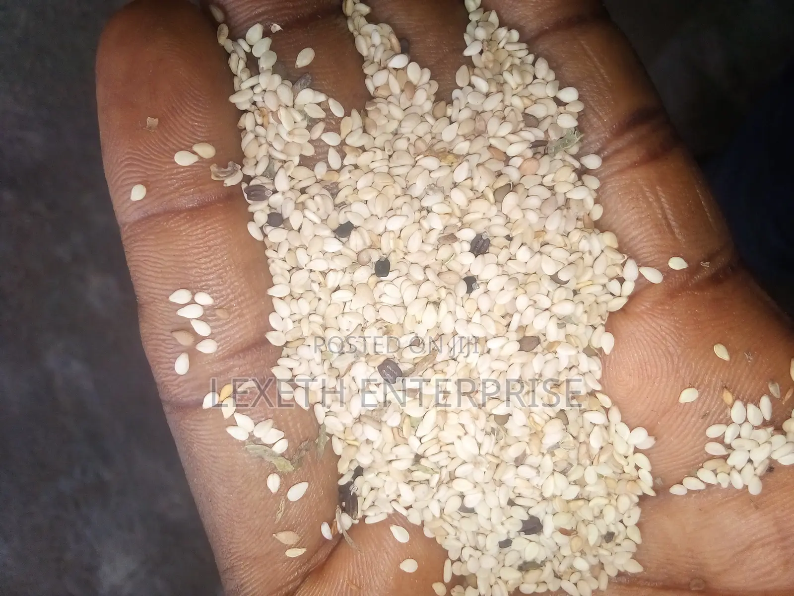 Sesame Seeds 200 Tons Available