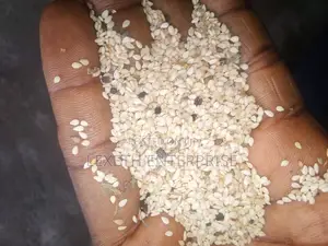Sesame Seeds 200 Tons Available