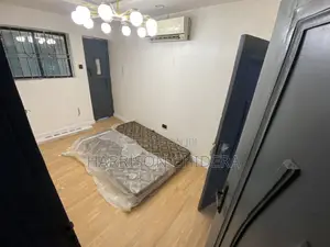 Luxurious SPC Installation