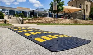 Speed Bumps