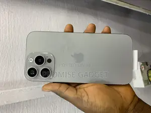 Apple iPhone 16 Pro Max 1 TB Gray