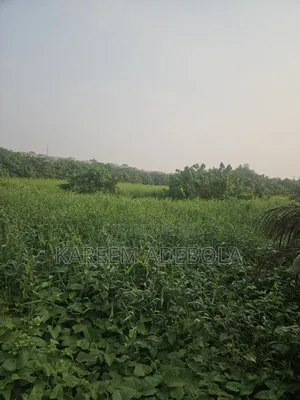 20 Hectares at Guzape 2 Abuja