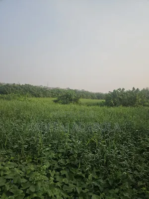 30 Hectares of Land at Guzape 2private Housing