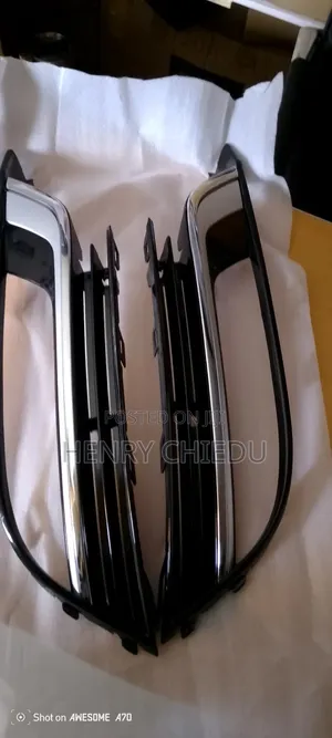 Fog Light Basket Passat CC 2013 Model